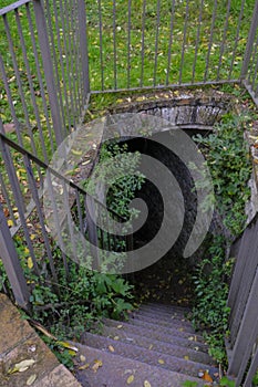 old stairs going into the well across the green plants. Boschi di Carrega, Emilia-Romagna, Italy photo