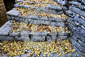 Old stairs in park covered with yellow maple leaves. Autumn concept