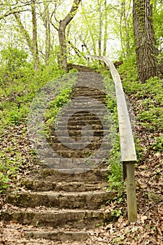 Old stairway in park