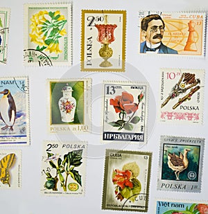 Old Stamps Collection on the White Paper