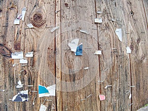 Old Stapled Wood.  Paper leftovers on an old wooden wall