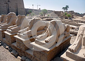 Old statue and monastery Carnac, city Luxor, Egypt, Africa