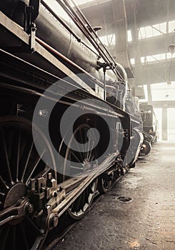 Old steam locomotive in train shed.