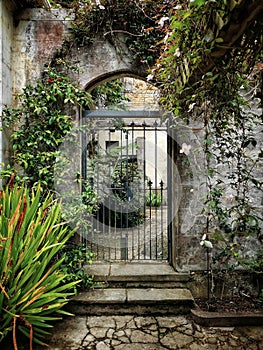 Old steel garden gate in a stone wall overgrown with vegetation