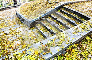 Old steps in a forest during the autumn time.