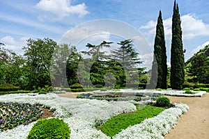 Old stepway in the spring time forest