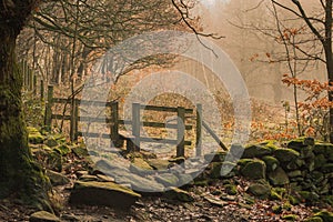 Old stile in the autumn mist