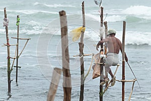 Old stilt fisherman with his wooden rod facing back to camera angel, fishing in a traditional unique method in Sri Lanka