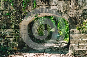 An old stone archway in the middle of a forest