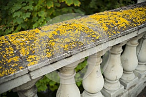 Old stone balustrade