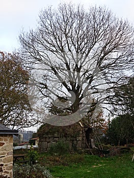 Old stone barn in the French countryside. 