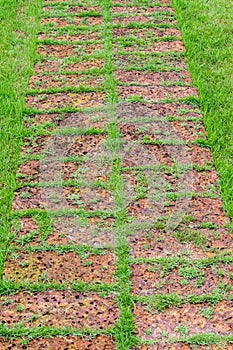 Old stone brick walkway on the lawn.