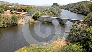 Old stone bridge across the Ponsul river, Castelo Branco, Portugal