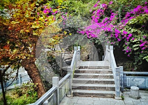 Old Stone Bridge in fall color 4