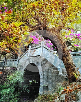 Old Stone Bridge in fall color