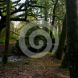 Old stone bridge in the Galtee mountains in Co Tipperary