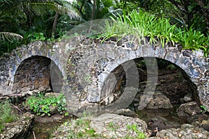 Old stone bridge in the jungle