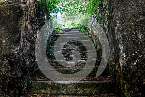 Old stone stairs in the woods