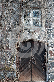 Old stone building detail, door and window, Virginia creeper climbing on weathered rugged wall