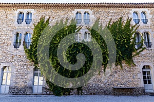 old stone building with green ivy on wall and decorative windows