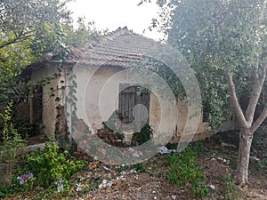 Old, stone buildings in the countryside.