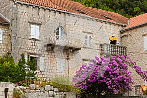 Old stone buildings on the hillside surrounded by trees and foliage, Montenegro
