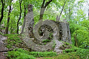 Old stone castle ruins in forest. hot summer day