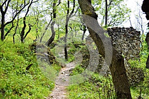 Old stone castle ruins in forest. hot summer day