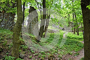 Old stone castle ruins in forest. hot summer day