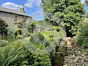 Old stone cottage, with a stream, trees and bushes in, Ramsgill, Pateley Bridge, Yorkshire, UK