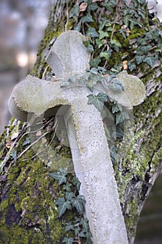 Old stone cross overgrown with ivy and moss