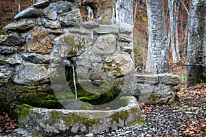 Old stone drinking fountain in the forest