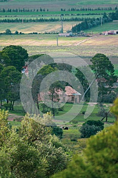 Old stone farm houses surounded by huge pine trees