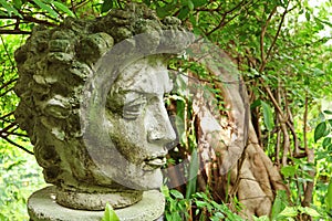 Old Stone Figure of Greek Man Head in a Garden