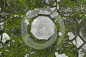 Old stone floor lichen walkway background