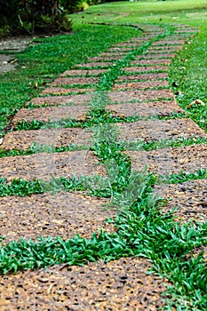 Old stone footpath on green grass