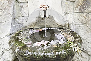 Old stone fountain with flowers