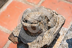 Old stone frog statue in Vietnam ancient temple