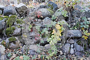 Old stone garden wall.
