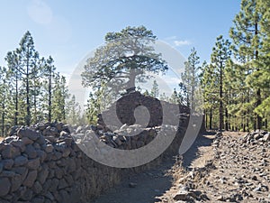 Old stone house and wall near camping area with huts at campsite Campamento Madre del Agua in Pine tree forest near town photo