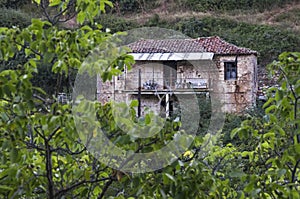 Old stone house in Zarouhla village. Achaia, Greece .