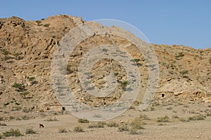 Old Stone Houses in a Wadi