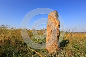 Old stone idol in steppe