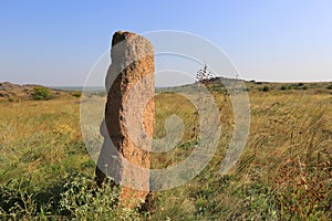 Old stone idol in steppe