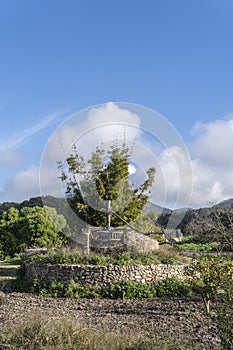 Old stone irrigation ditch in disuse