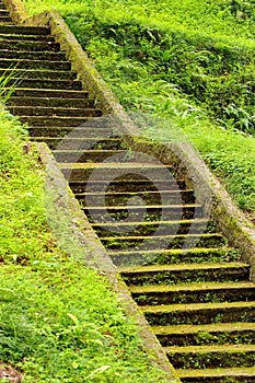 Old stone mossy staircase in lush green grass