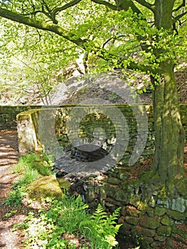 Old stone packhorse bridge crossing hebden water in calderdale surrounded by bright sunlit spring woodland trees