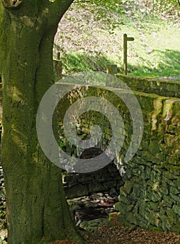 Old stone packhorse bridge crossing hebden water in calderdale surrounded by bright sunlit spring woodland trees