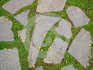 Old stone pavement with green grass