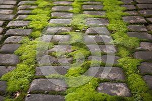 Old stone pavement texture. Cobbles closeup with green grass in the seams. Generative AI.